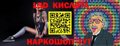 индика Кингисепп