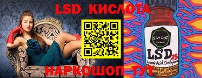 индика Кингисепп