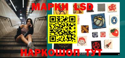 индика Кингисепп