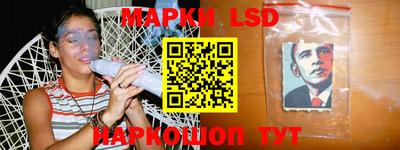 индика Кингисепп