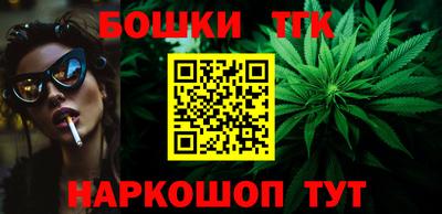 индика Кингисепп