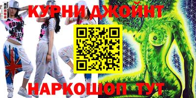 индика Кингисепп
