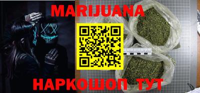 индика Кингисепп