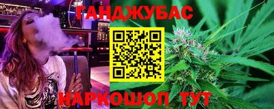 индика Кингисепп