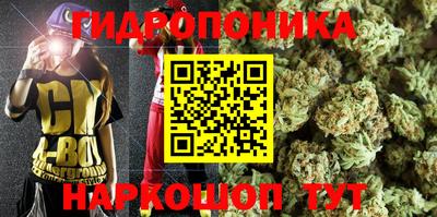 индика Кимры