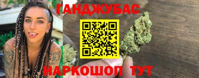 индика Кингисепп