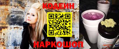 индика Кингисепп