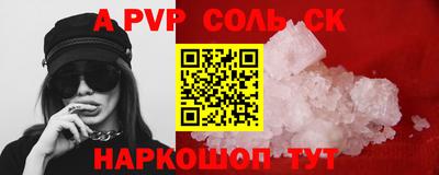 индика Кингисепп