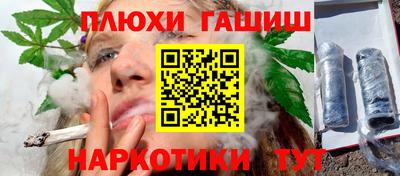 индика Кингисепп
