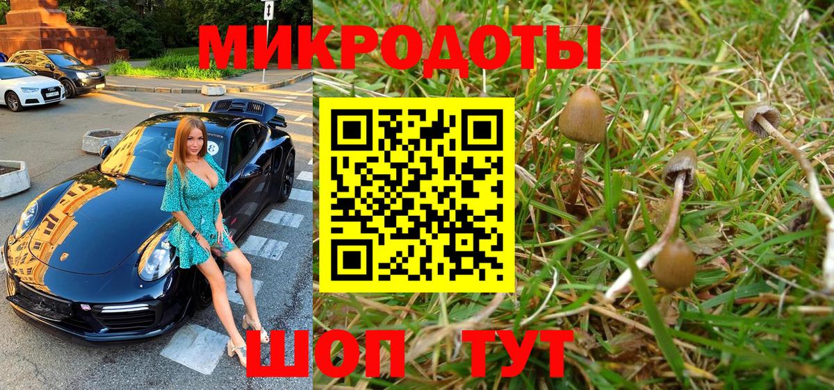 Кириши  Галлюциногенные грибы Cubensis  Вход с VPN 